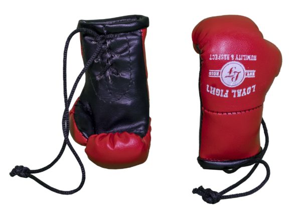 Mini gant de boxe Loyal Fight