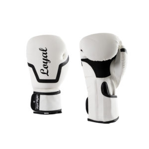 Gants de boxe LF training